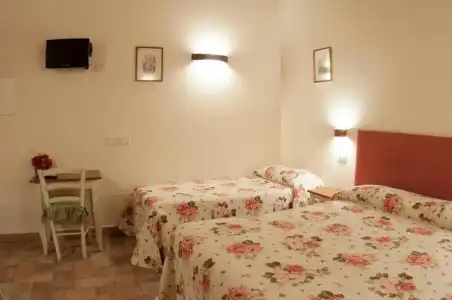 Rosa di Assisi - 26
