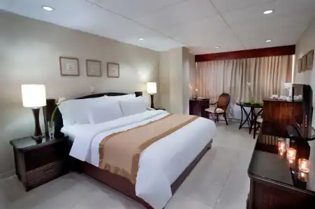 Centro Plaza Hodelpa - 15