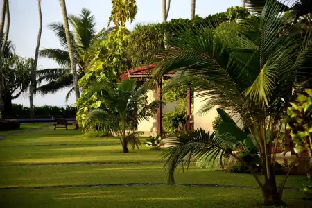 Weligama Bay Resort - 21