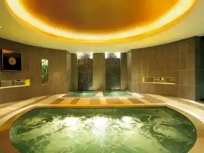 Swissotel Grand - 21