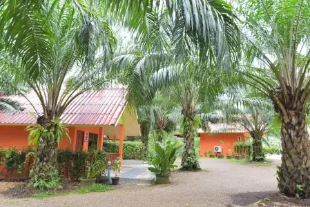 Palm Kaew Resort Krabi - 103