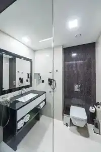 Ambasador Premium - 49