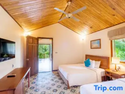 Camellia Resort & Spa - 98