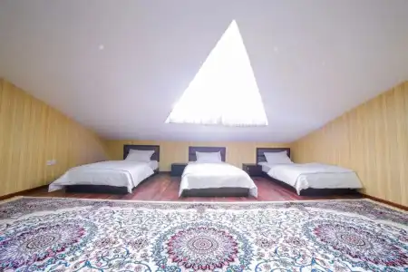 Alliance Tashkent - 4