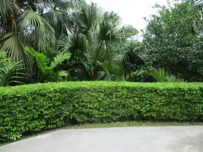 Chalets Bougainville - 123