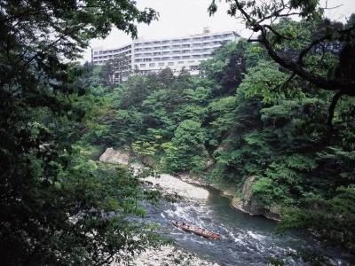 Kinugawa Royal - 25