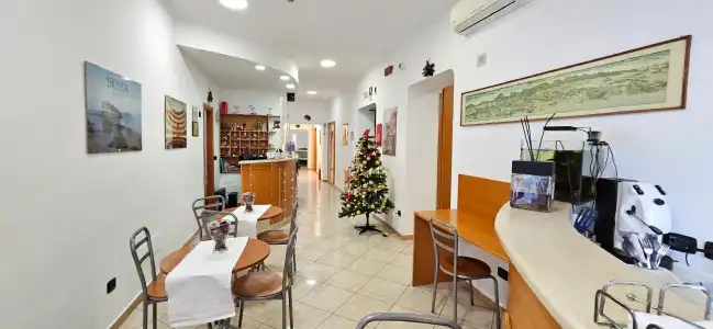 Zara - 26