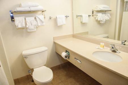 Pigeon River Inn - 10