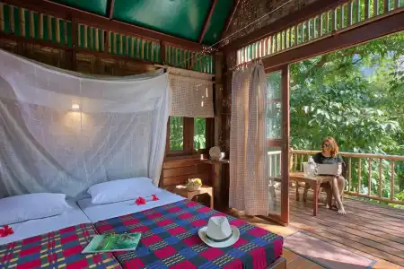 Our Jungle Camp - Eco Resort - 60
