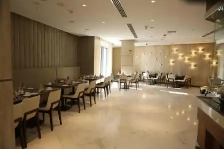 VIP - 11