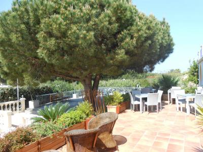 Restaurant Athena - 16