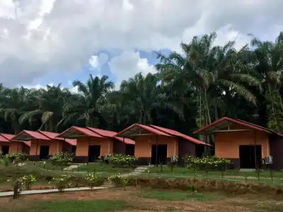 Khao Sok Evergreen House - 24
