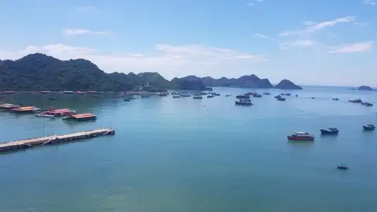 Thu Ha Catba - 29