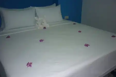 Maneemudjalin Resorts Farm Stay - 26