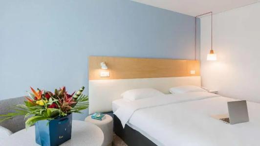 Ibis Styles Aix-les-Bains Domaine de Marlioz - 71