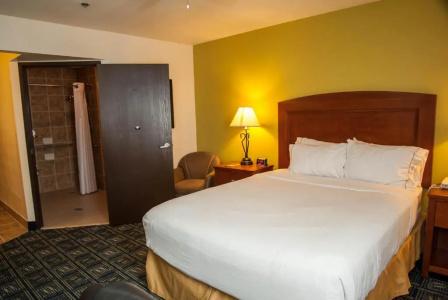 Holiday Inn Express Airport - Tucson by IHG - 80