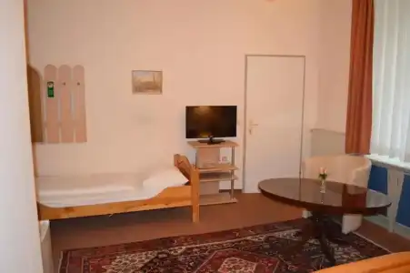 Pension Walzerstadt - 45