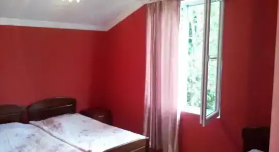 Bidzina Guest House - 1
