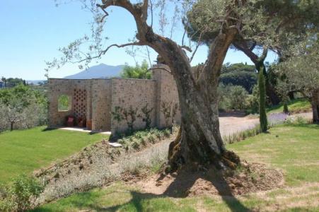 Poggio Piglia - 39