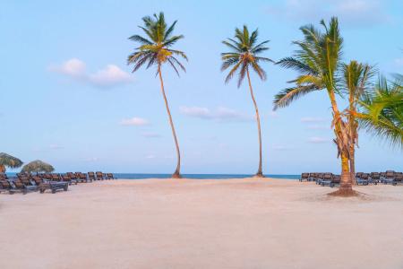 El Beso Adults Only at Ocean El Faro - All Inclusive - 31