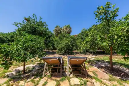 Finca Ca´s Curial - 37