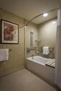 Hilton Anatole - 8