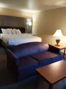 Lavissh Inn and Suites - 41