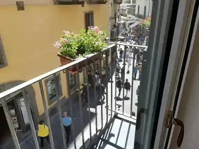 Antica Repubblica - 221