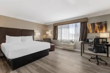 Best Western Plus LA Mid Town - 53