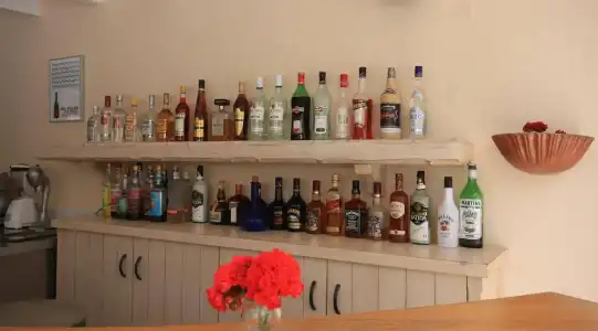 Strogili - Adults Only - 9
