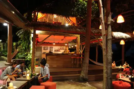 The Jungle Club - 27