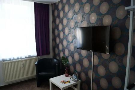 Pension Triebischtal - 25