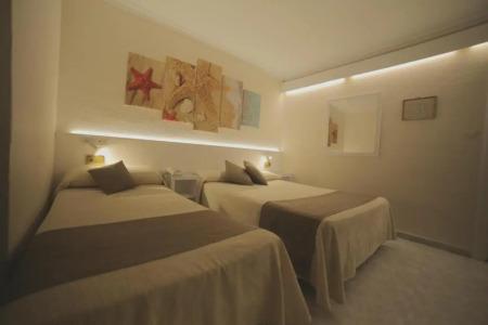 Medium Claramar - 84