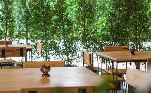 Sillemon Garden - 25
