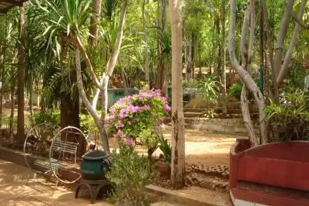 Sam's Jungle Guesthouse - 7