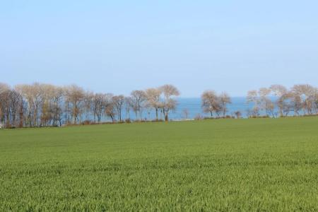 ApartMuseumshof auf Fehmarn - 39