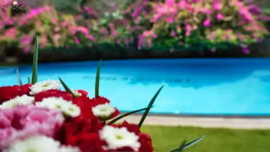 Sunsea Resort - 73