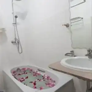 Asia - 29