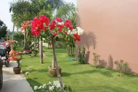Sumali Villa - 41