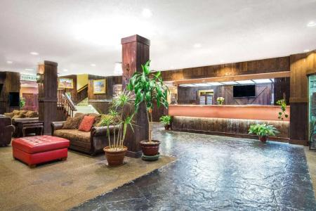 Ramada by Wyndham Denver Downtown - 16