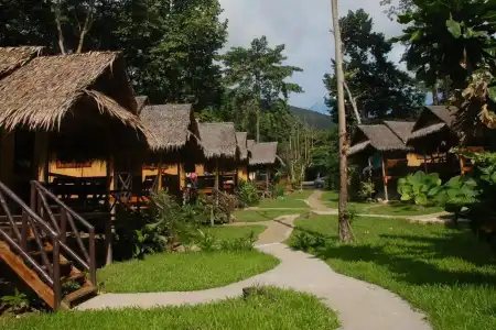 Jungle Garden - 10