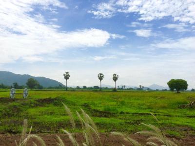 Wanlapa Farmstay - 15
