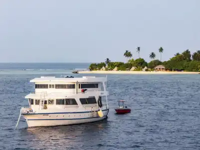The Maverick Surf and Dive Boutique - 38