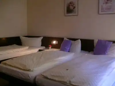 Wilder Mann Ristorante Pizzeria Lo Scoglio - 5