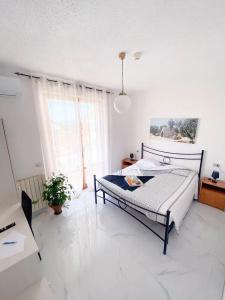 Belvedere - 24