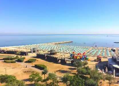 Paloma - 20