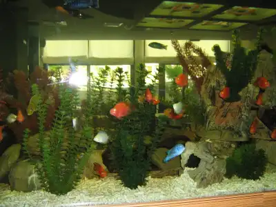Marieta Palace - 19
