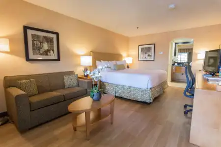 Best Western Plus Las Brisas - 42