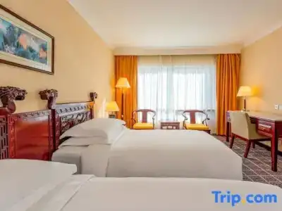 Grand Skylight Royal - 47