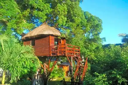 Tree Lodge Mauritius - 3